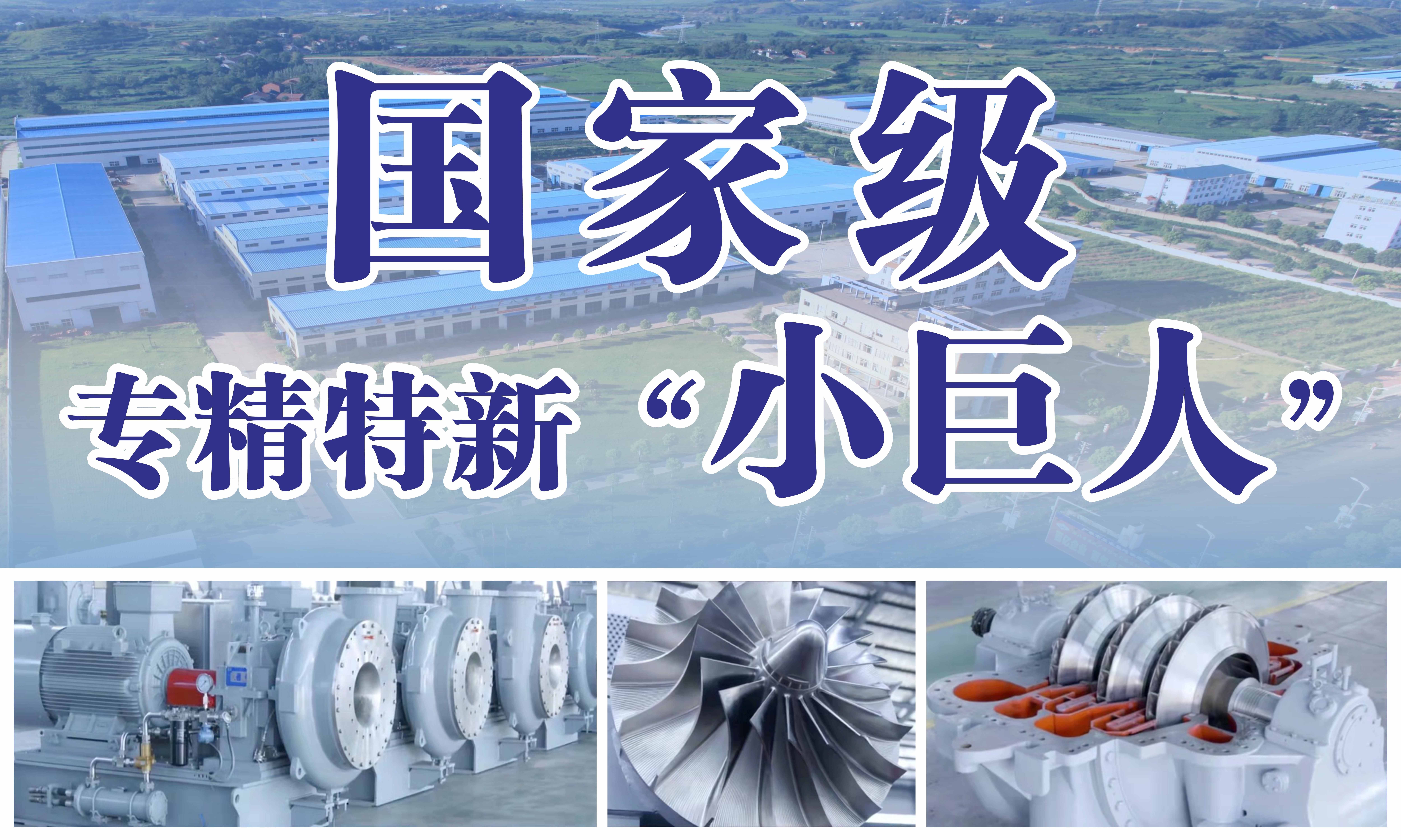 喜訊！我公司榮獲國(guó)家工信部第二批專精特新“小巨人”稱號(hào)